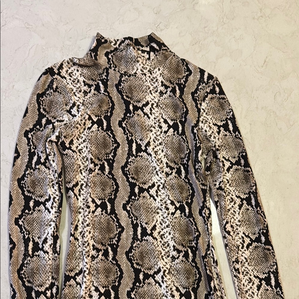 Reptile Patterned Pet Apparel